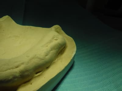 Dscf0341 gw6jyx - Eugenol