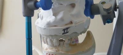 Dscf0351  2  b3ld6n - Eugenol