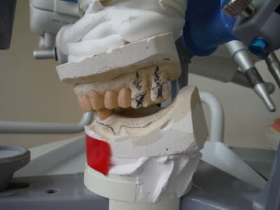 Dscf0447 ol3bdz - Eugenol