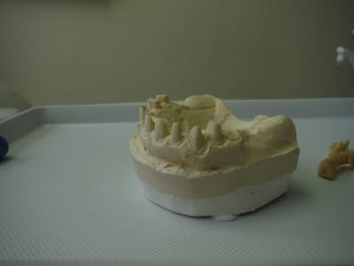 Dscf0455 pmk0z4 - Eugenol