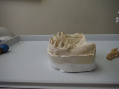 Dscf0456 um2jpc - Eugenol