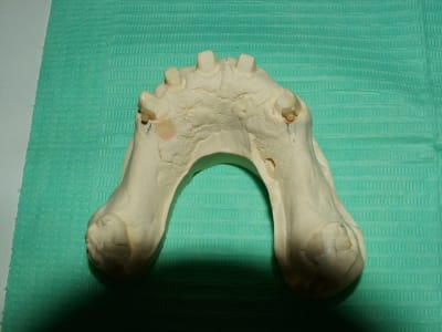 Dscf0700 xh6fc2 - Eugenol