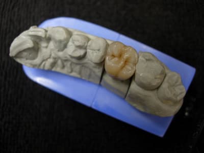 Dscn2125 tk4i7t - Eugenol