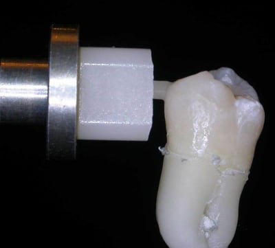 Dscn2460w2 lrg5is - Eugenol
