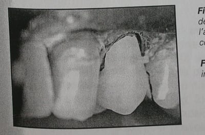 Dscn4667 p9kdqj - Eugenol