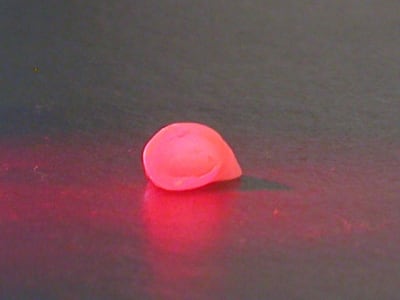 Dscn4983 y6ylkp - Eugenol