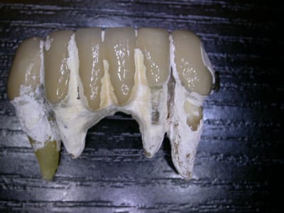 Dscn6963 o36ucq - Eugenol