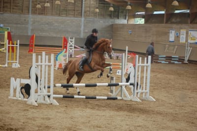 Dsc 0049 vkgu22 - Eugenol