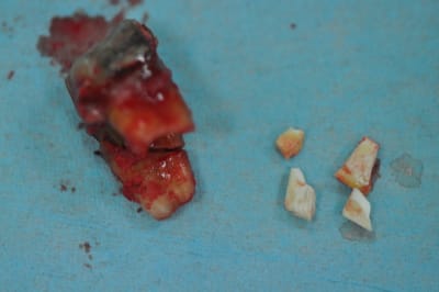 Dsc 0146 vrzn76 - Eugenol