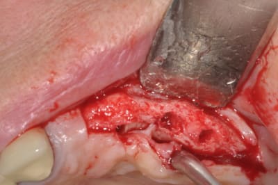 Dsc 0231 is0cqp - Eugenol