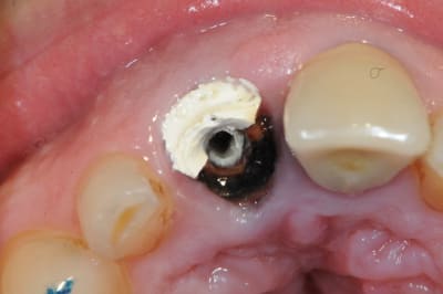 Dsc 0463 vg53ua - Eugenol