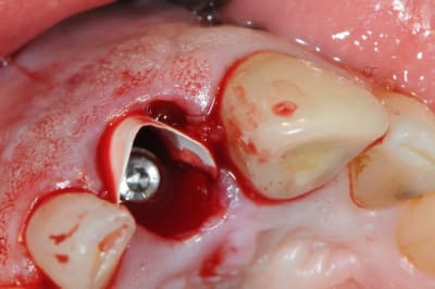 Dsc 0492 m1mvpm - Eugenol