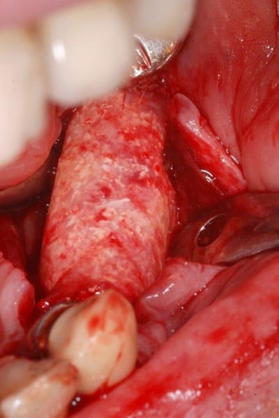 Dsc 0536 my5dmo - Eugenol