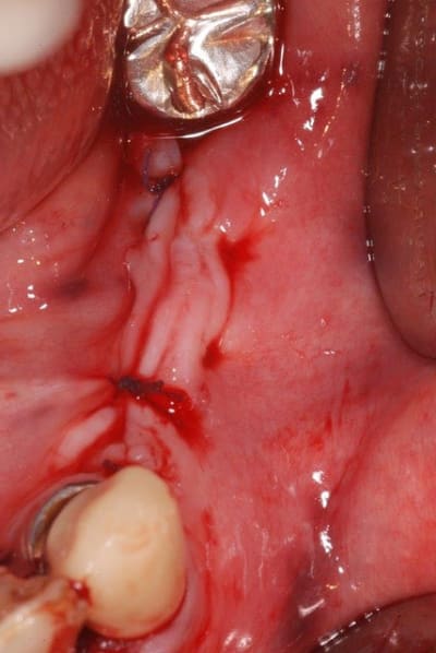 Dsc 0540 o6jo4s - Eugenol