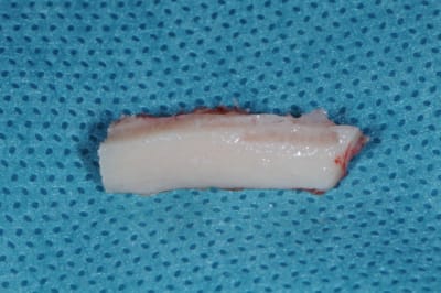 Dsc 0614 rq6eq3 - Eugenol