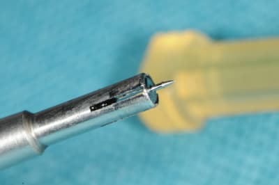 Dsc 0639 z7rmit - Eugenol