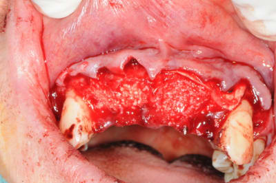 Dsc 0654 px1qwv - Eugenol