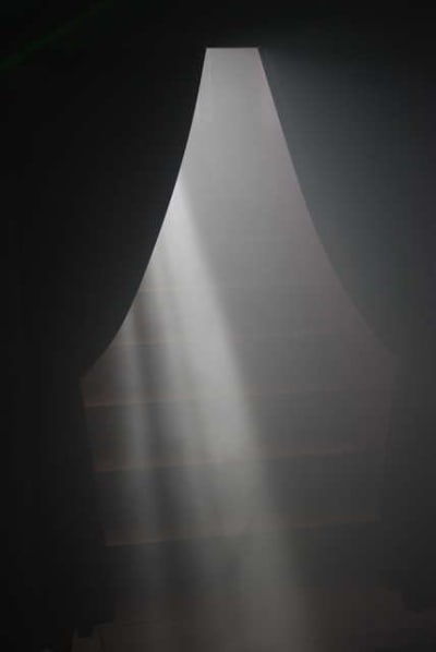 Dsc 0706 larwm2 - Eugenol