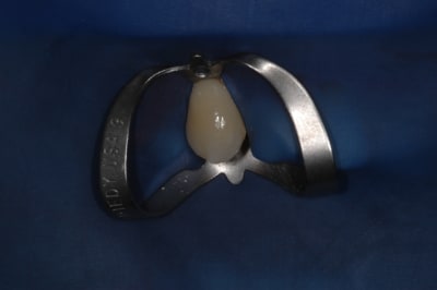 Dsc 0756 zvaht0 - Eugenol