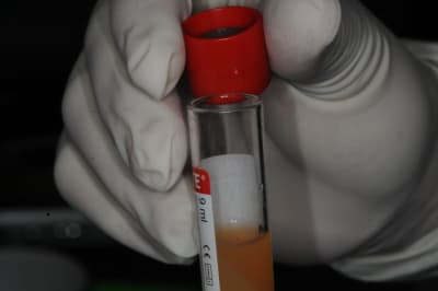 Dsc 1519 r1ms0c - Eugenol