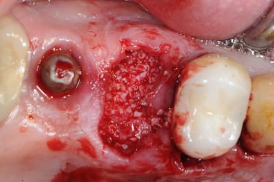 Dsc 1553 amur1c - Eugenol