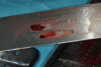 Dsc 1656 z3vq7r - Eugenol