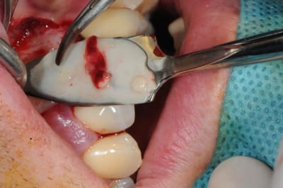 Dsc 1657 at0wq8 - Eugenol