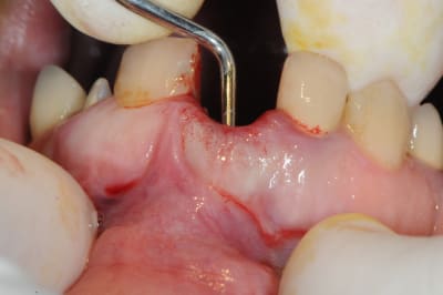 Dsc 1698 qrhxuk - Eugenol