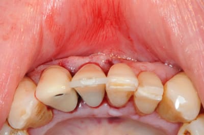 Dsc 2566 hva5o8 - Eugenol