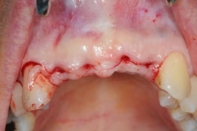 Dsc 2988 rqdrby - Eugenol