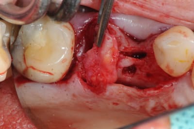 Dsc 3136 wxnw7f - Eugenol