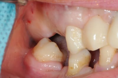 Dsc 3559 t5zcgp - Eugenol