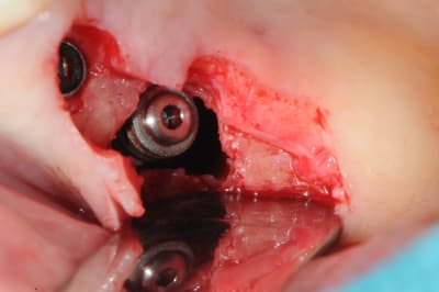 Dsc 3571 y3wbdx - Eugenol