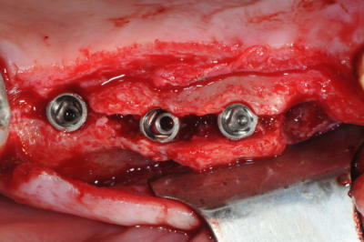 Dsc 4597 n0sfhk - Eugenol