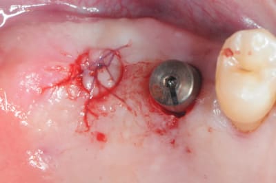 Dsc 4781 qfsuhh - Eugenol