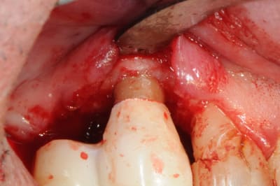 Dsc 5092 ofn8hl - Eugenol