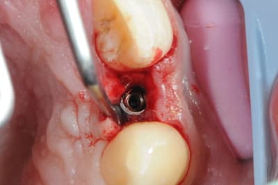 Dsc 5186 sxxbti - Eugenol