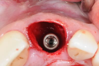 Dsc 6484 csqtyw - Eugenol