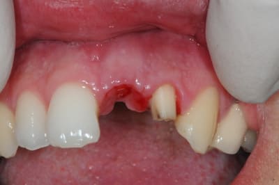 Dsc 6782 jufmlt - Eugenol