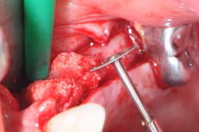 Dsc 7716 bmlswr - Eugenol