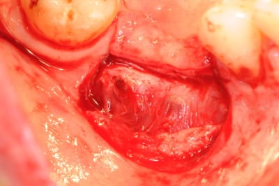 Dsc 7793 dc8qnj - Eugenol