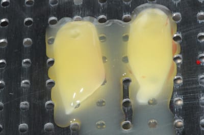 Dsc 8570 iyphhj - Eugenol