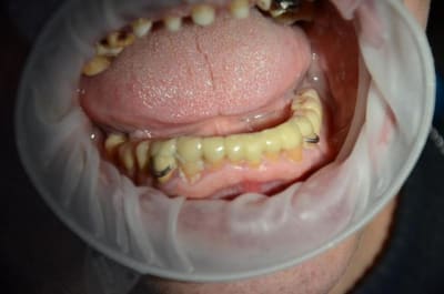 Dsc 8841 xsrq7i - Eugenol