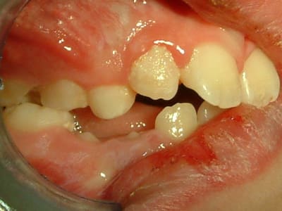 Dscf0020 vj6cfx - Eugenol