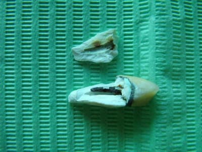 Dscf0985 zoyonf - Eugenol