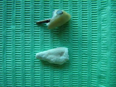 Dscf0986 e1pmlm - Eugenol