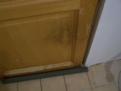 Empreintes1 nofuur - Eugenol