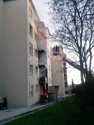 Feu 1 gsga2r - Eugenol