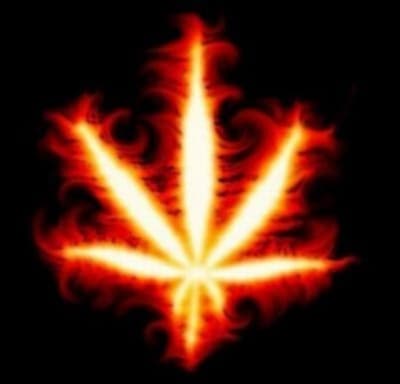 Flamme.. - Eugenol