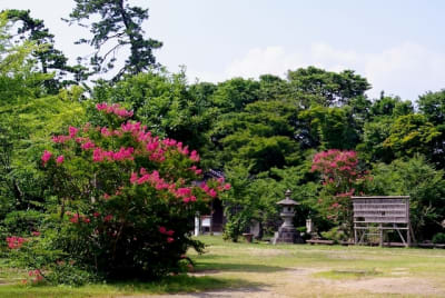 Gkz  11  hud4ct - Eugenol